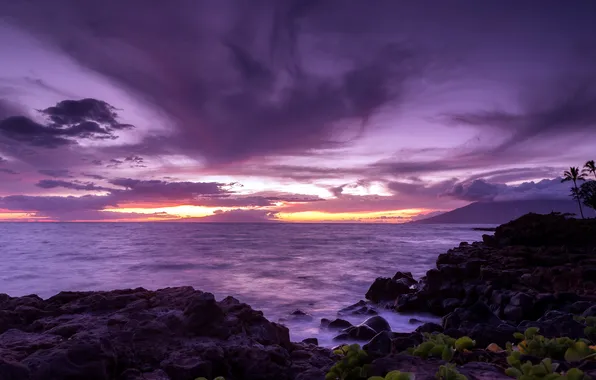 Sea, landscape, night, shore