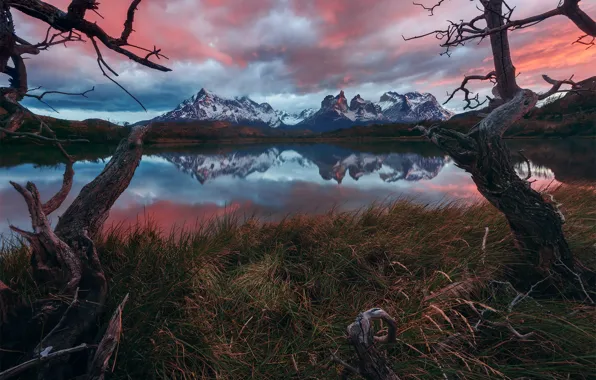 Grass, trees, mountains, lake, reflection, shore, view, pond