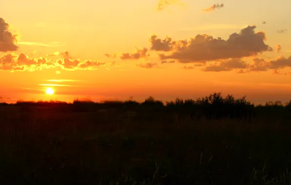 Picture the sun, dawn, beauty, bright sky