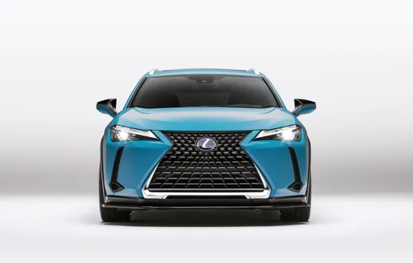 Lexus, 2018, crossover, Lexus UX, 250h, Customized Concept