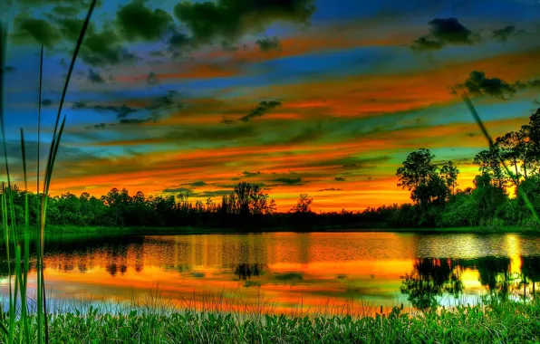 The sky, clouds, trees, lake, the evening, glow