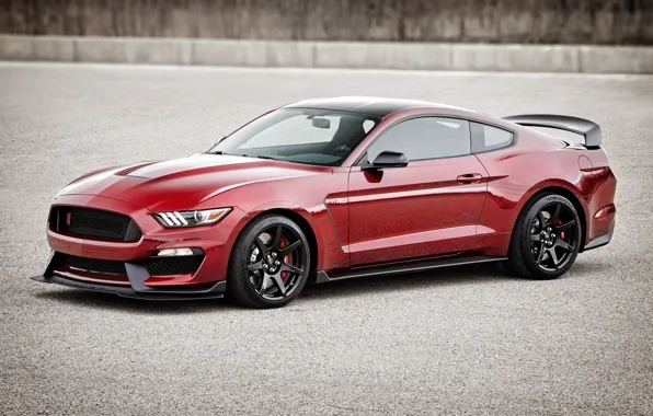 Mustang, Ford, Shelby, Mustang, Ford, Shelby, GT350R