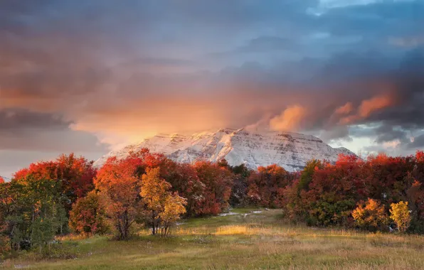 Picture autumn, mountain, Utah, USA, Timpanogos, state, mountain range, Wasatch