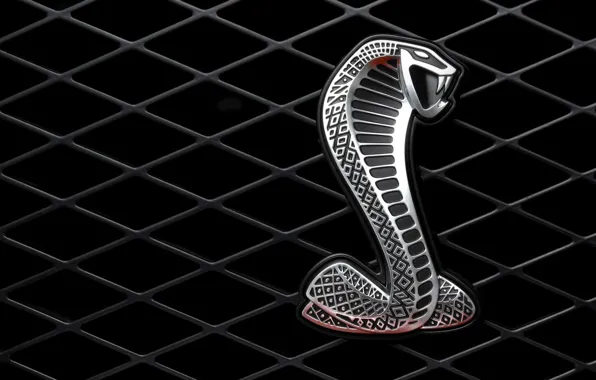 Picture metal, snake, grille