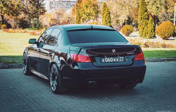 Black, BMW, BMW, Armenia, E60, 550i, Bimmer, Yerevan