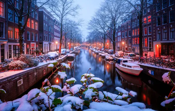 Leaves, snow, trees, branches, boats, Amsterdam, channel, Netherlands