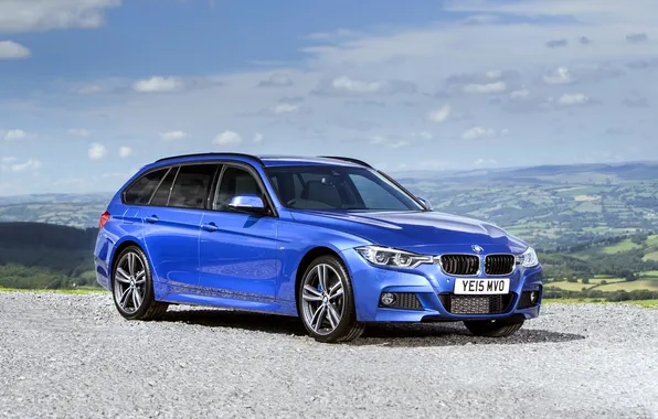 BMW, BMW, Sport, universal, Touring, F31, 2015