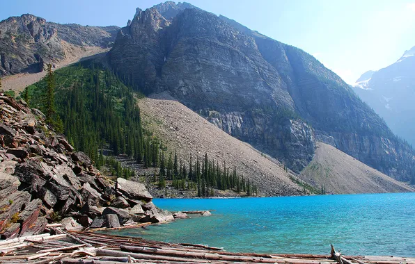 Trees, mountains, lake, stones, rocks, Alberta, Canada, Canada