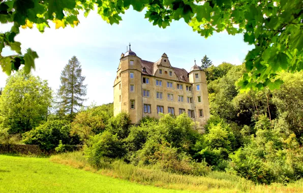Picture greens, grass, trees, branches, castle, foliage, Germany, the bushes