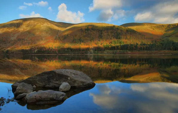 Picture autumn, forest, mountains, pond, Golden autumn
