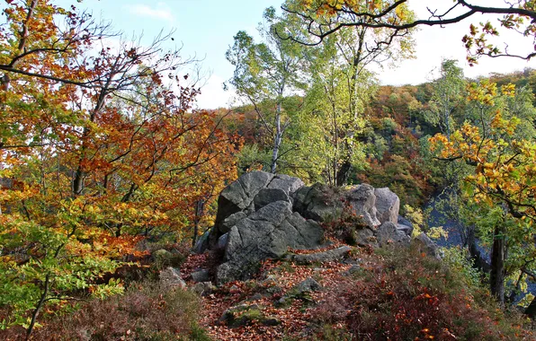 Picture autumn, the sky, leaves, trees, landscape, mountains, stones