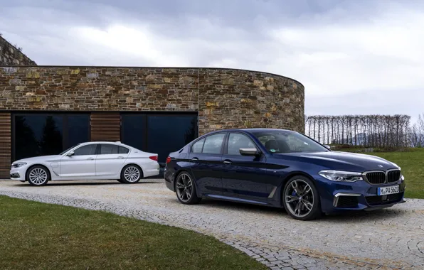 White, grass, pavers, BMW, hybrid, 5, dark blue, 2017