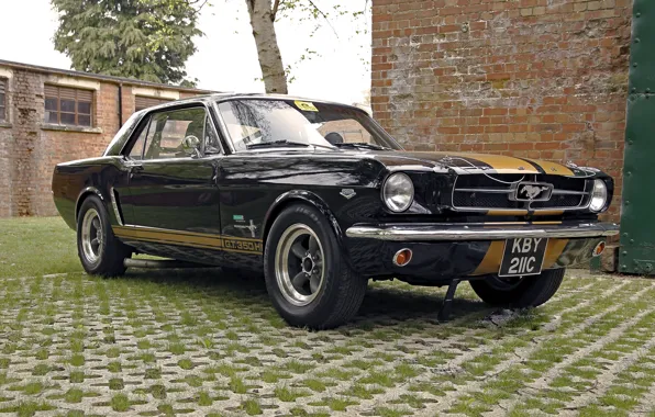 Picture retro, Ford Mustang, classic