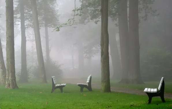 The city, fog, Park, bench