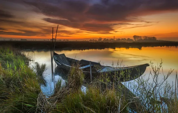 Grass, sunset, branches, clouds, lake, shore, boat, the evening
