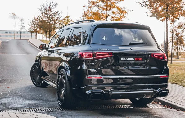 Mercedes-Benz, Mercedes, Jeep, Mercedes, Brabus, Maybach, rear view, GLS