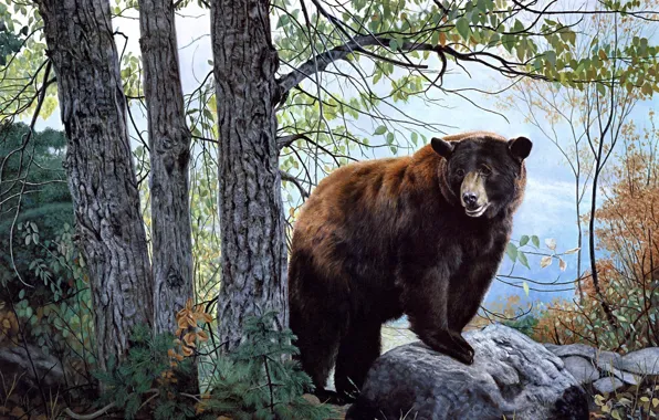 Forest, brown bear, bear, nature, painting, Charles Frace, Morning Watch