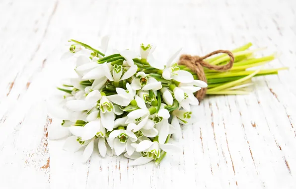 Picture flowers, bouquet, white, snowdrops, Olena Rudo