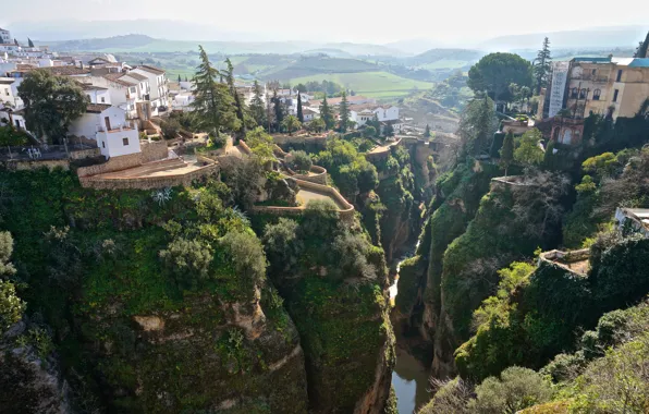 Trees, houses, Spain, homes, height, Ronda, Andalusia, river runs through it