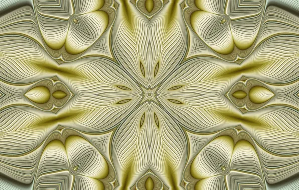 Light, pattern, color, the volume, symmetry