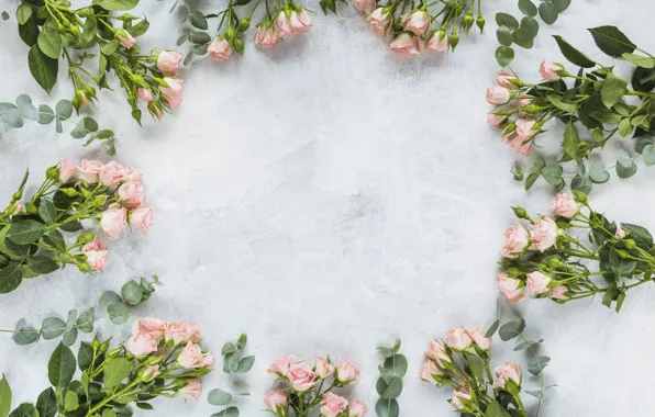 Flowers, roses, pink, pink, flowers, beautiful, romantic, roses