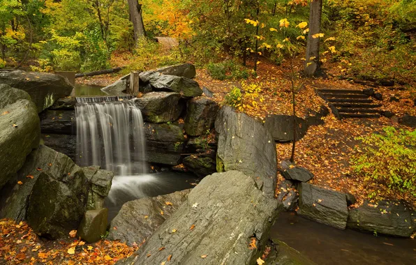 Picture autumn, leaves, trees, Park, stream, stones, waterfall, the bushes