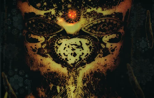 The universe, others, unknown world