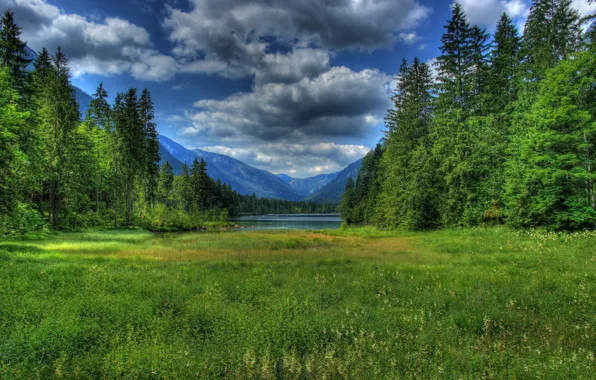 Forest, grass, clouds, mountains, lake, Germany, Bayern, Germany