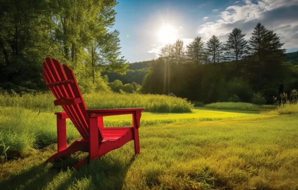 Field, forest, grass, the sun, light, landscape, nature, glade