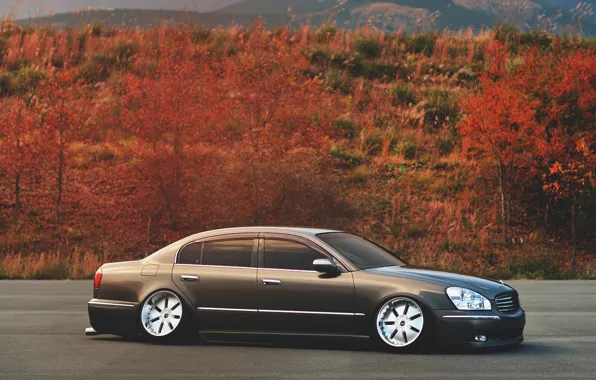 Autumn, infiniti, infiniti