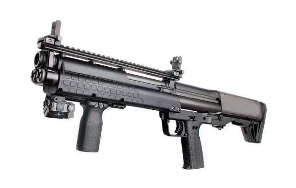 Picture weapons, the gun, shotgun, Kel-Tec KSG