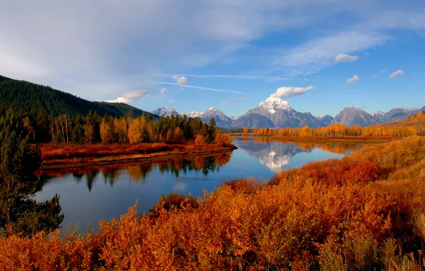 Picture autumn, forest, the sky, river, mountain