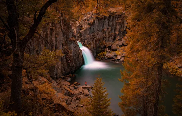 Picture trees, river, rocks, waterfall, CA, California, Upper McCloud Falls, McCloud River