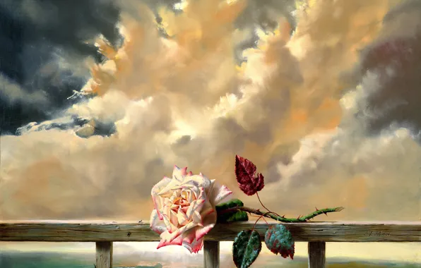 Flower, clouds, freshness, rose, painting