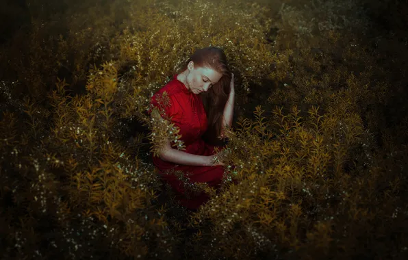 Forest, leaves, girl, flowers, hair, red dress, lying