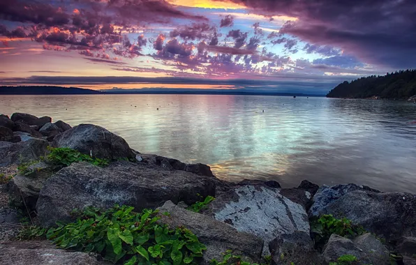 Landscape, night, lake