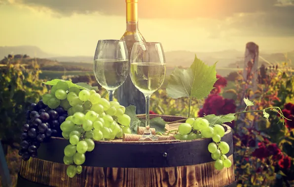 Picture wine, glasses, barrel, bunches of grapes