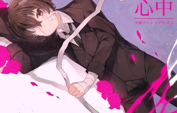 Roses, boy, the patch, bandage, Bungou Stray Dogs, Stray Dogs: A Literary Genius, Dazai Osamu