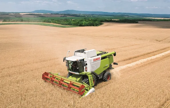 Picture field, harvester, Claas Lexion