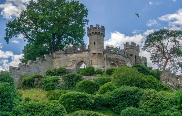 The sky, clouds, trees, bird, wall, hill, tower, fortress