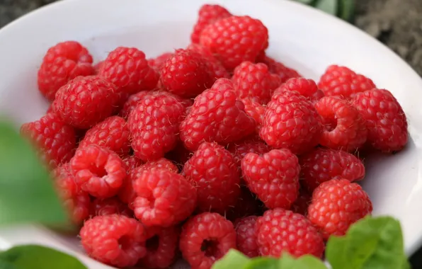 Berries, harvest, plate, Raspberry, ripe
