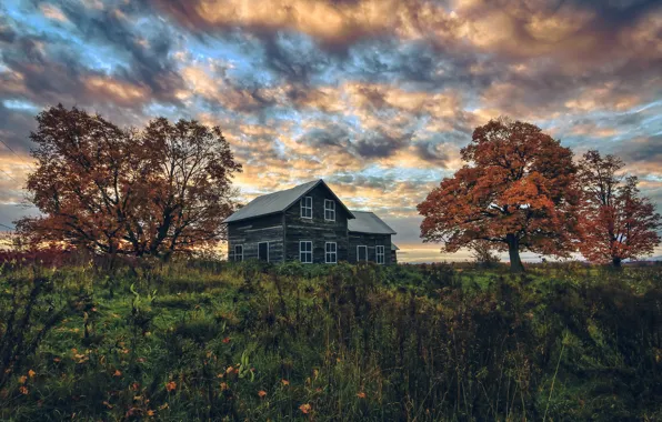 Field, autumn, house