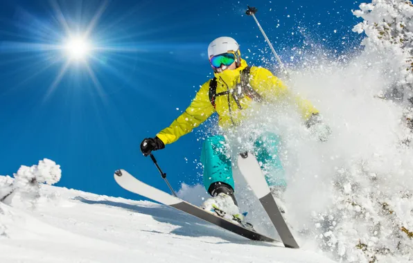 Snow, nature, the descent, sport, tree, athlete, extreme, equipment