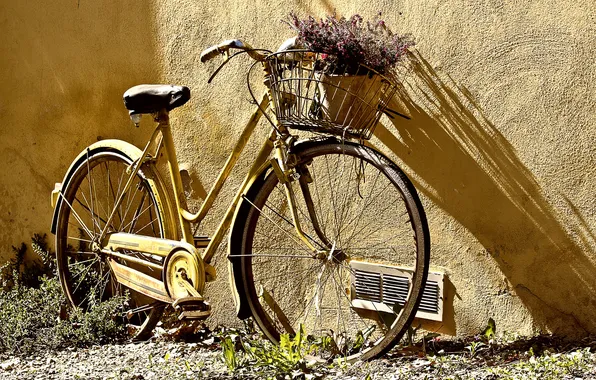 Bike, wall, basket, wheel