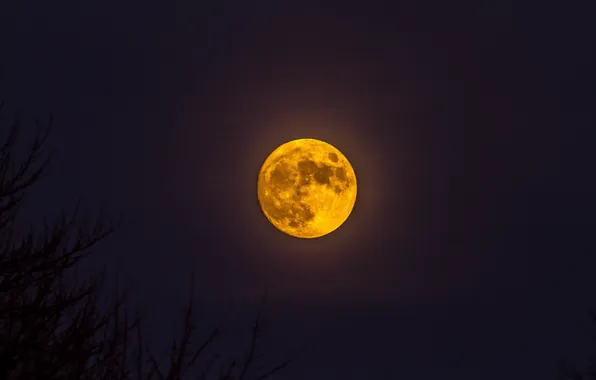 Night, the moon, satellite, silhouettes