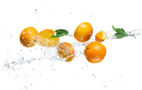 Water, squirt, orange, white background, leaves