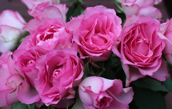 Picture roses, bouquet, pink, flower, pink, roses