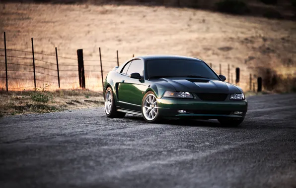 Road, field, green, mustang, Mustang, the fence, green, ford