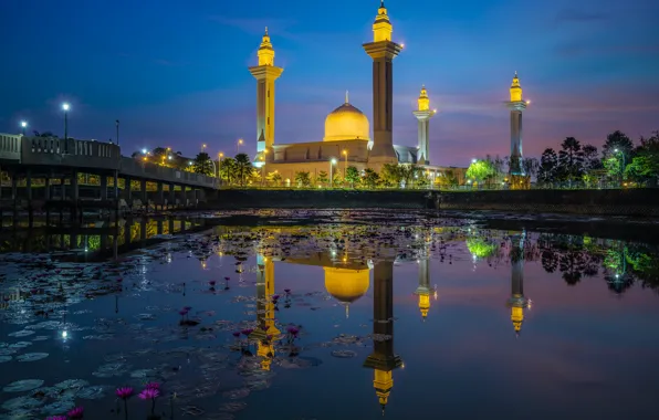 The sky, night, the city, lights, pond, reflection, blue, shore