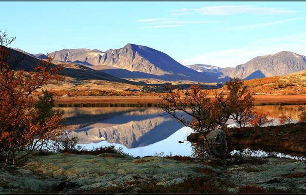 Picture Norway, Hedmark County, Rondane National Park, Blæsterdalen, Norvegia